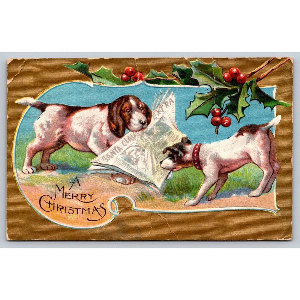 Postcard Merry Christmas Dogs Reading Santa Claus Newspaper Gold Posted 1908 CO